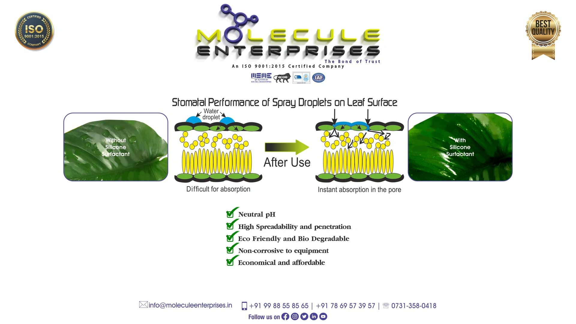 silicone spreader importers formulators